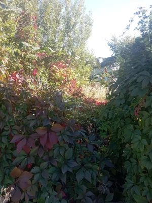 Продаж Земля комерційного призначення