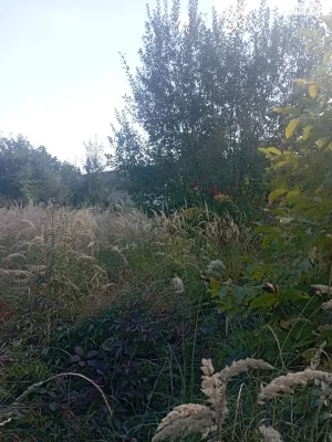 Продаж Земля комерційного призначення