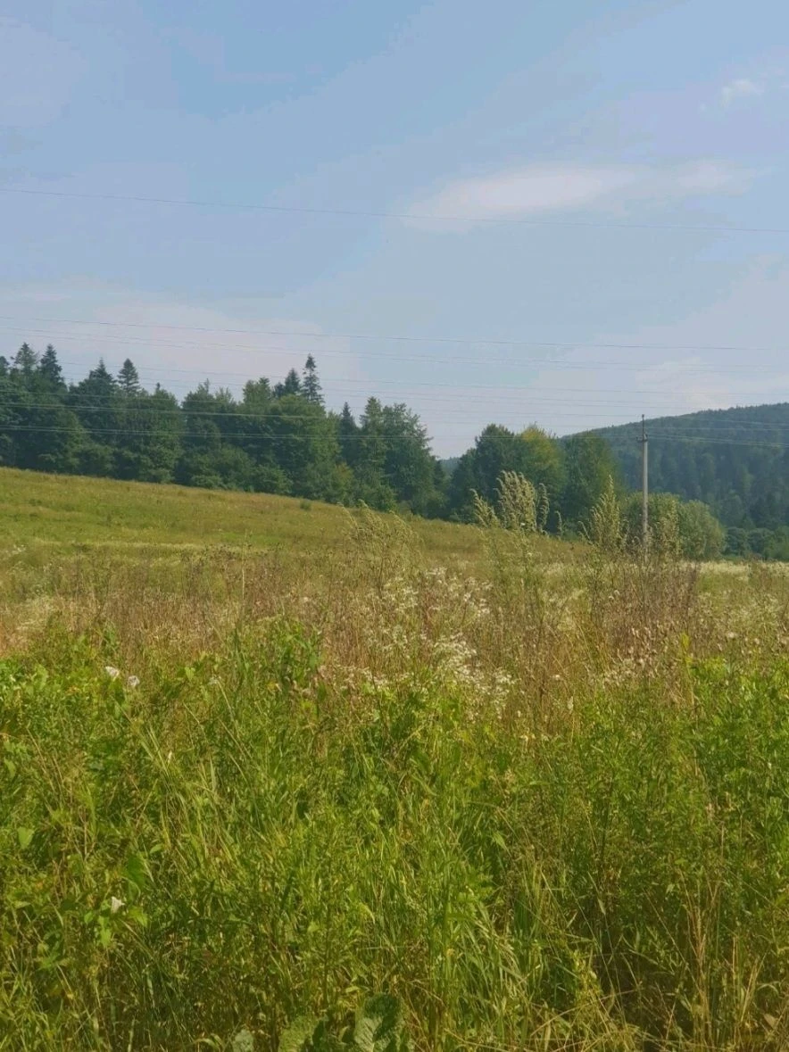 Продам земельну ділянку по вул. С. Бандери
