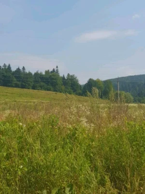Продам земельну ділянку по вул. С. Бандери