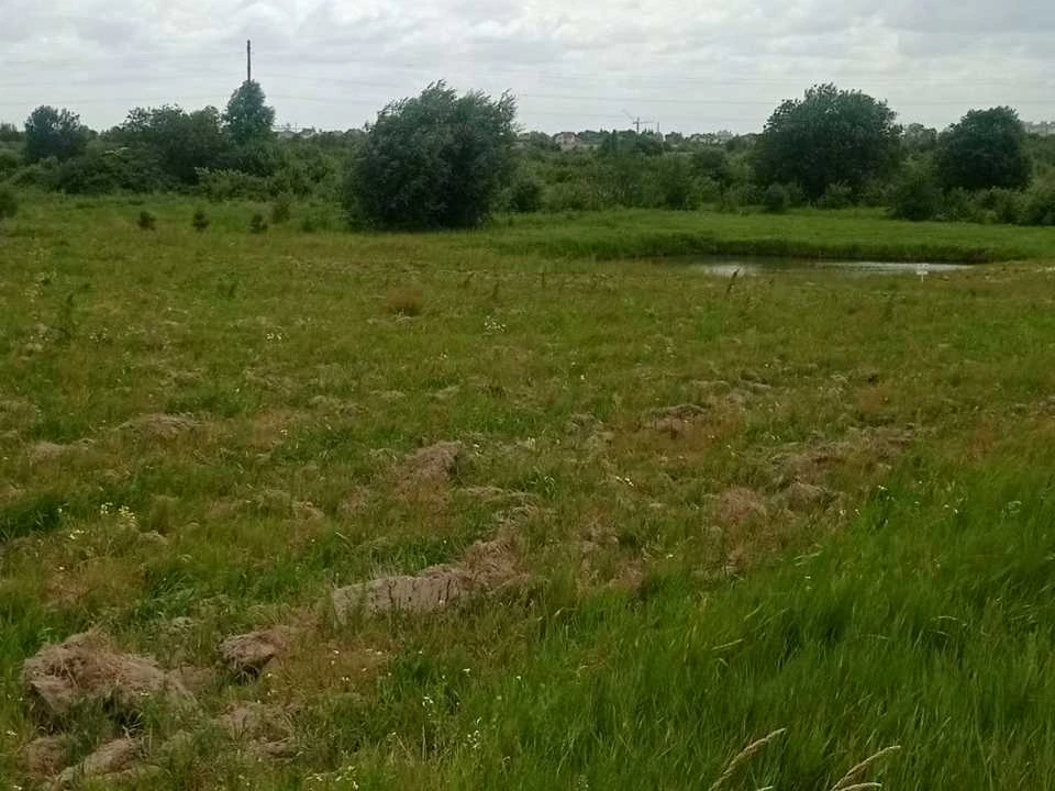 Ділянка. Городок