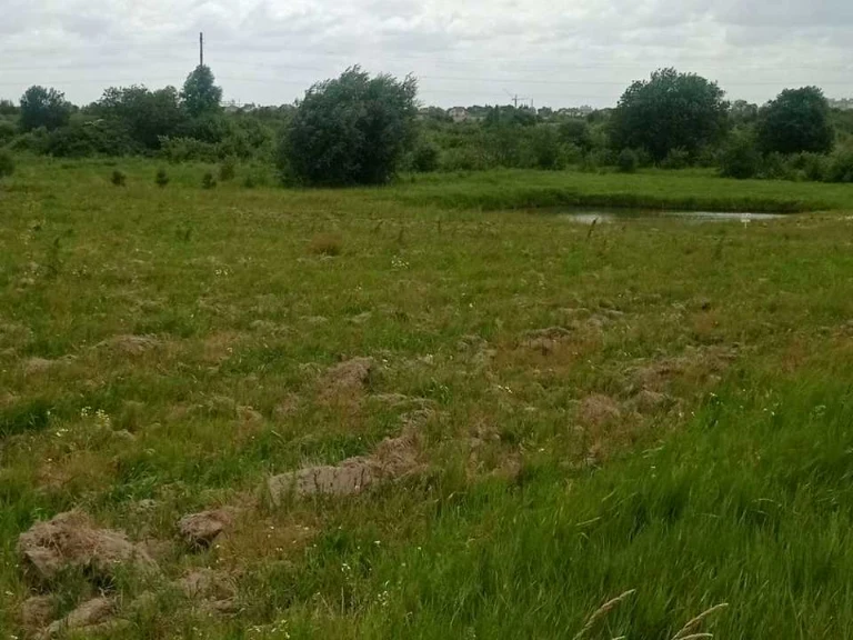Ділянка. Городок
