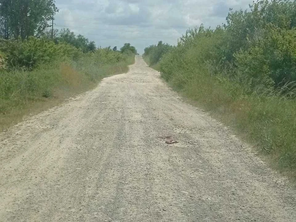 Ділянка. Городок