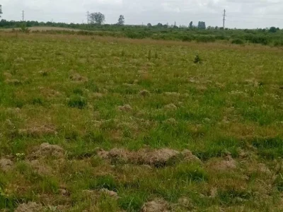 Ділянка. Городок