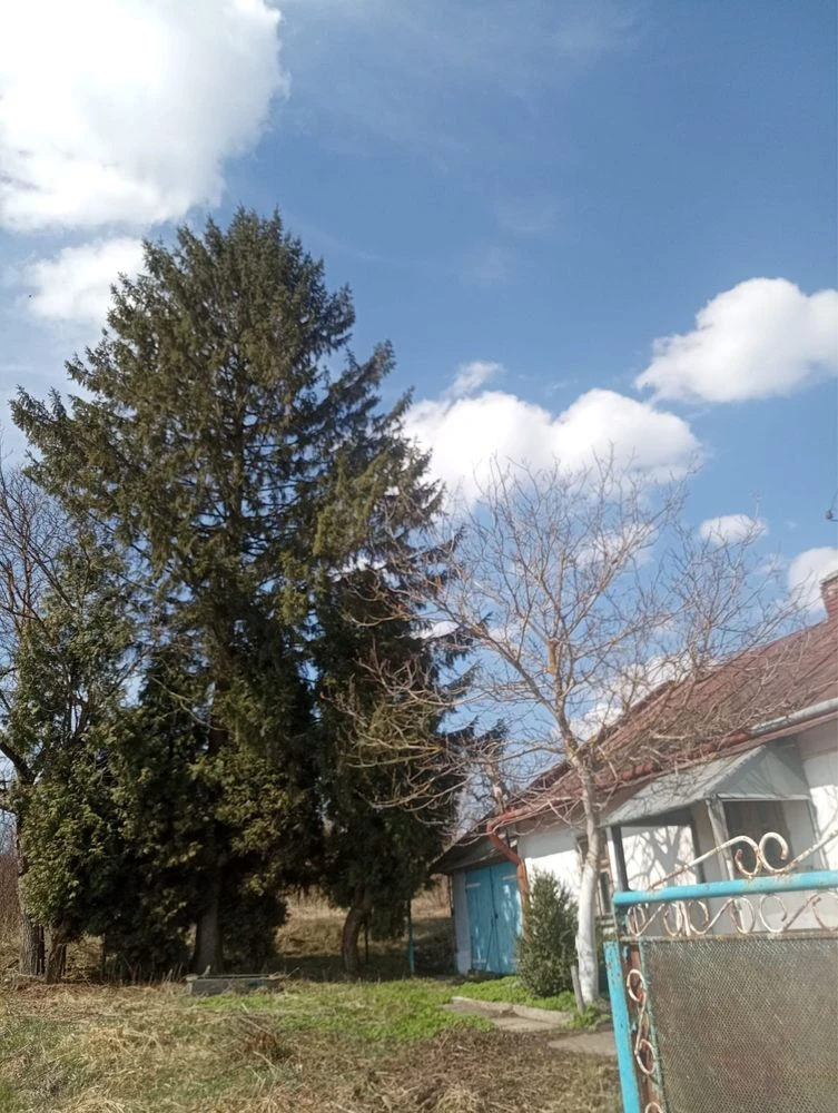 Продаж 69 сот земельної ділянки для бізнесу чи господарства