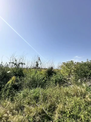 Продається земельна ділянка 10 соток — м. Городок