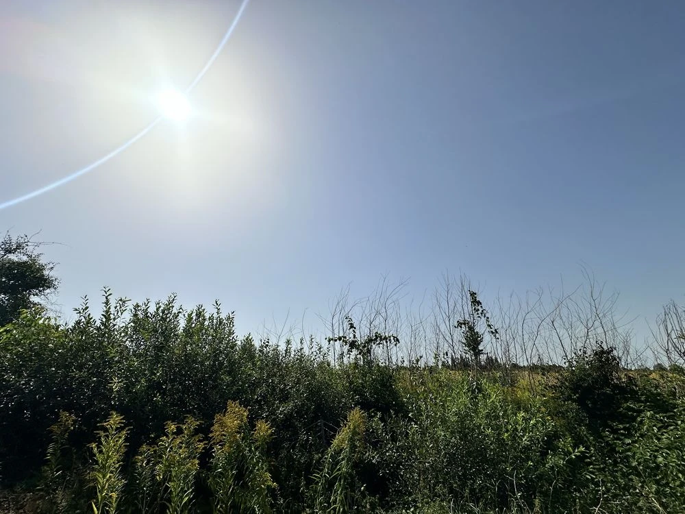 Продається земельна ділянка 10 соток — м. Городок