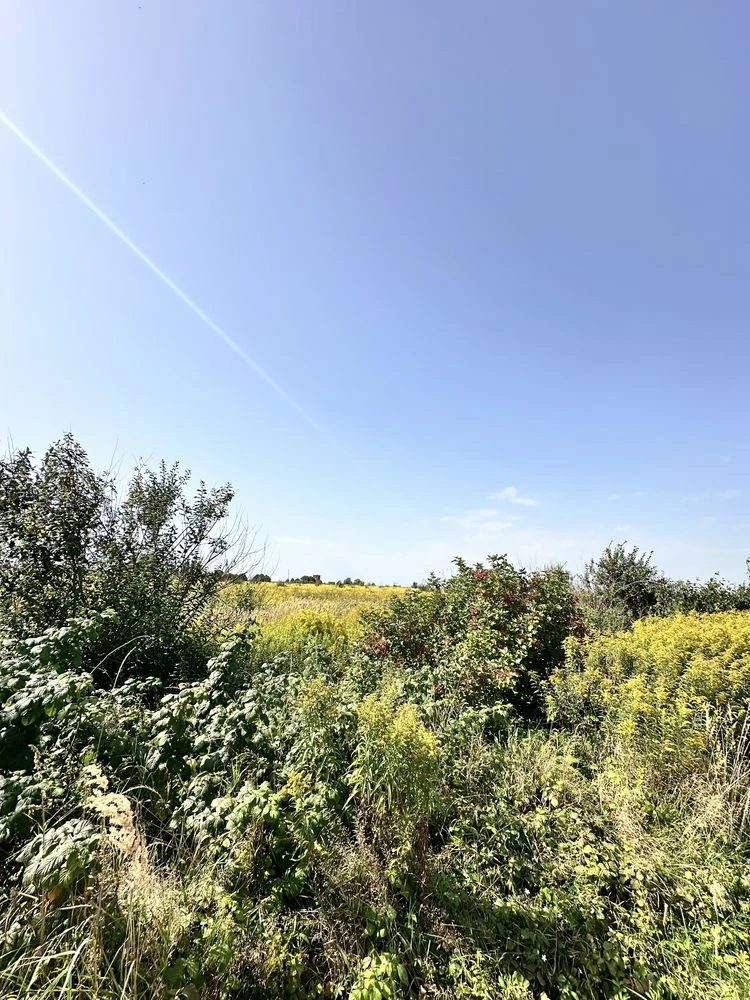 Продається земельна ділянка 10 соток — м. Городок