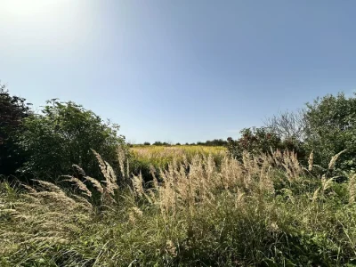 Продається земельна ділянка 10 соток — м. Городок