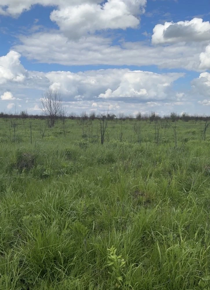 Продається земля Городок бізнес (траса на Кордон ,митниця)