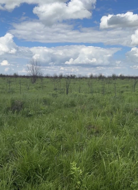 Продається земля Городок бізнес (траса на Кордон ,митниця)