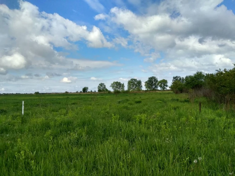 Земельна ділянка під садівництво, Городок