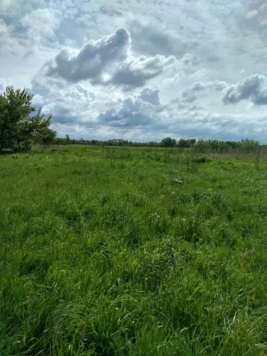 Земельна ділянка під садівництво, Городок