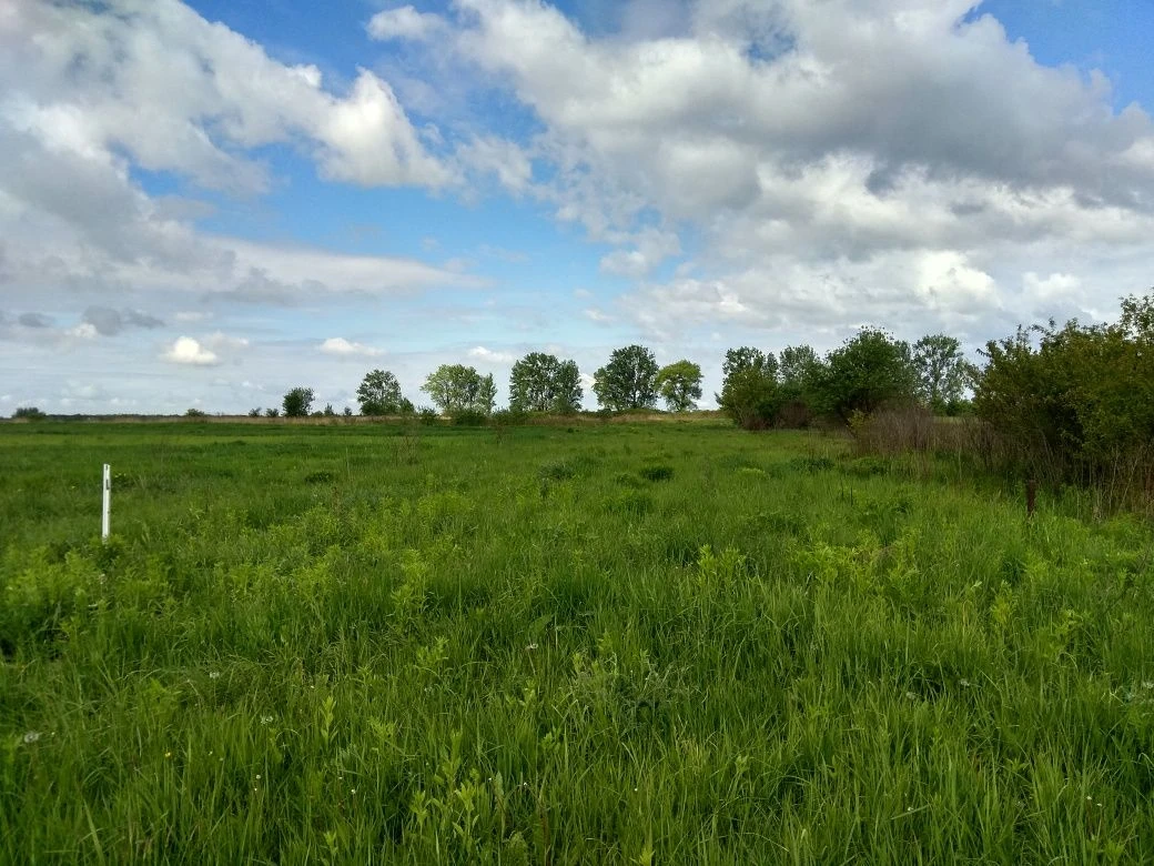 Земельна ділянка під садівництво, Городок