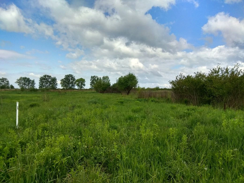 Земельна ділянка під садівництво, Городок