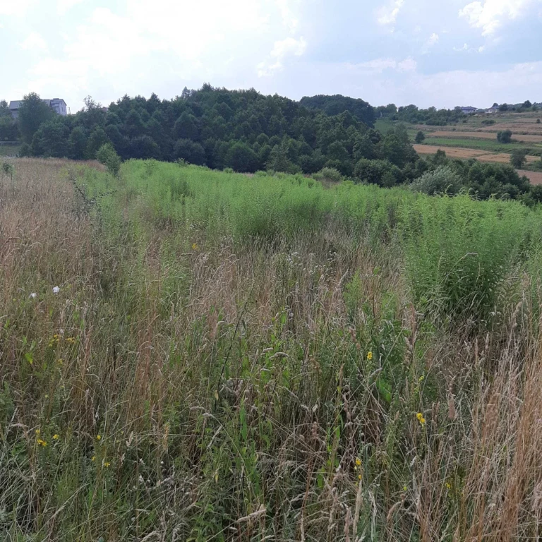 ПРОДАЖ земельної ділянки. Комерційного призначення. ГОРОДОК