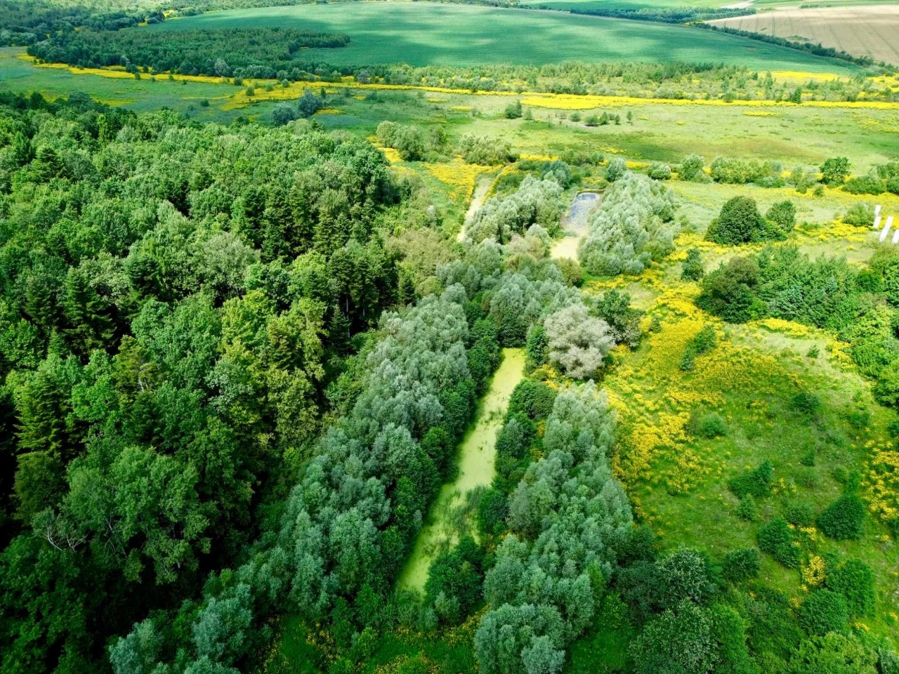 Продаж ділянки 2.1 га. з озерами та приляганням до лісу