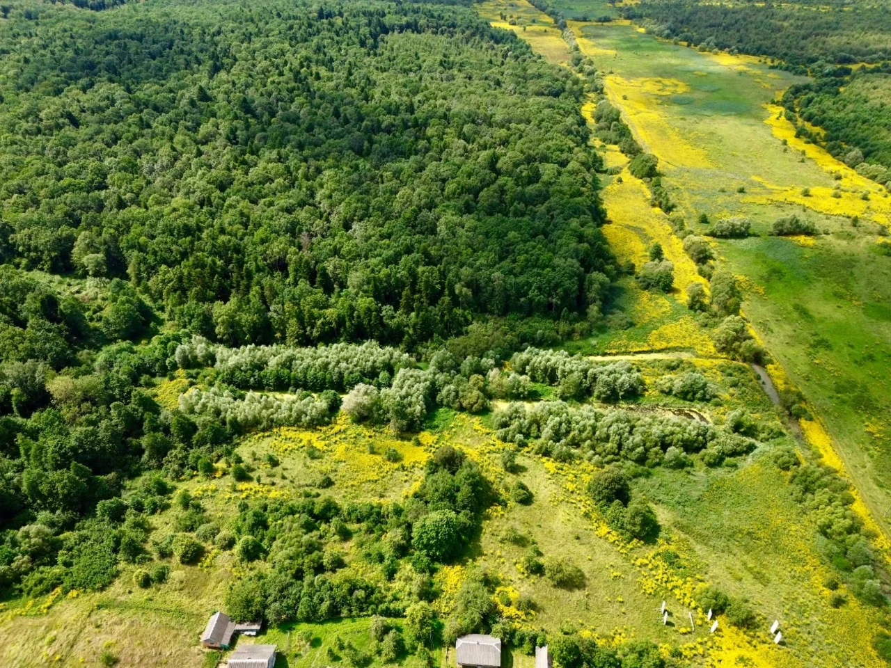 Продаж ділянки 2.1 га. з озерами та приляганням до лісу