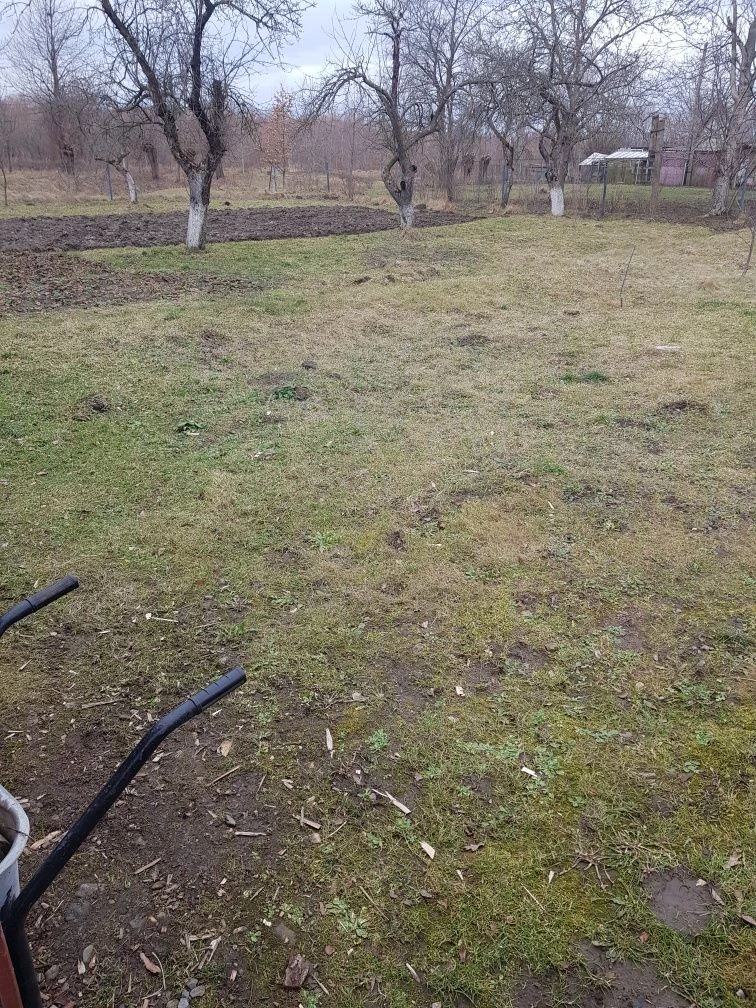 Земля пляц участок