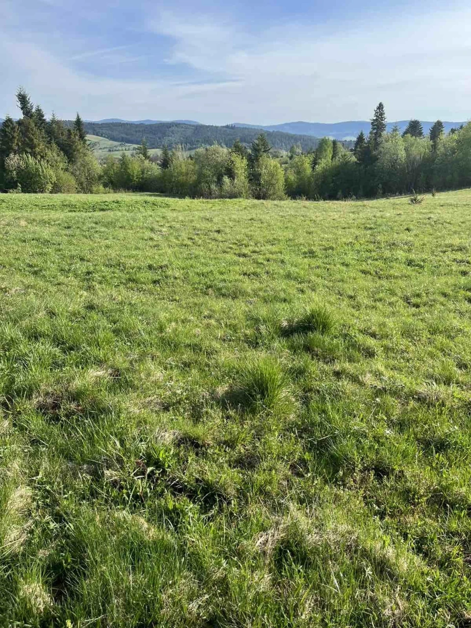 Земельна ділянка. село Шандровець.