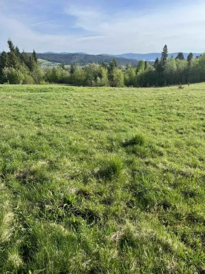 Земельна ділянка. село Шандровець.