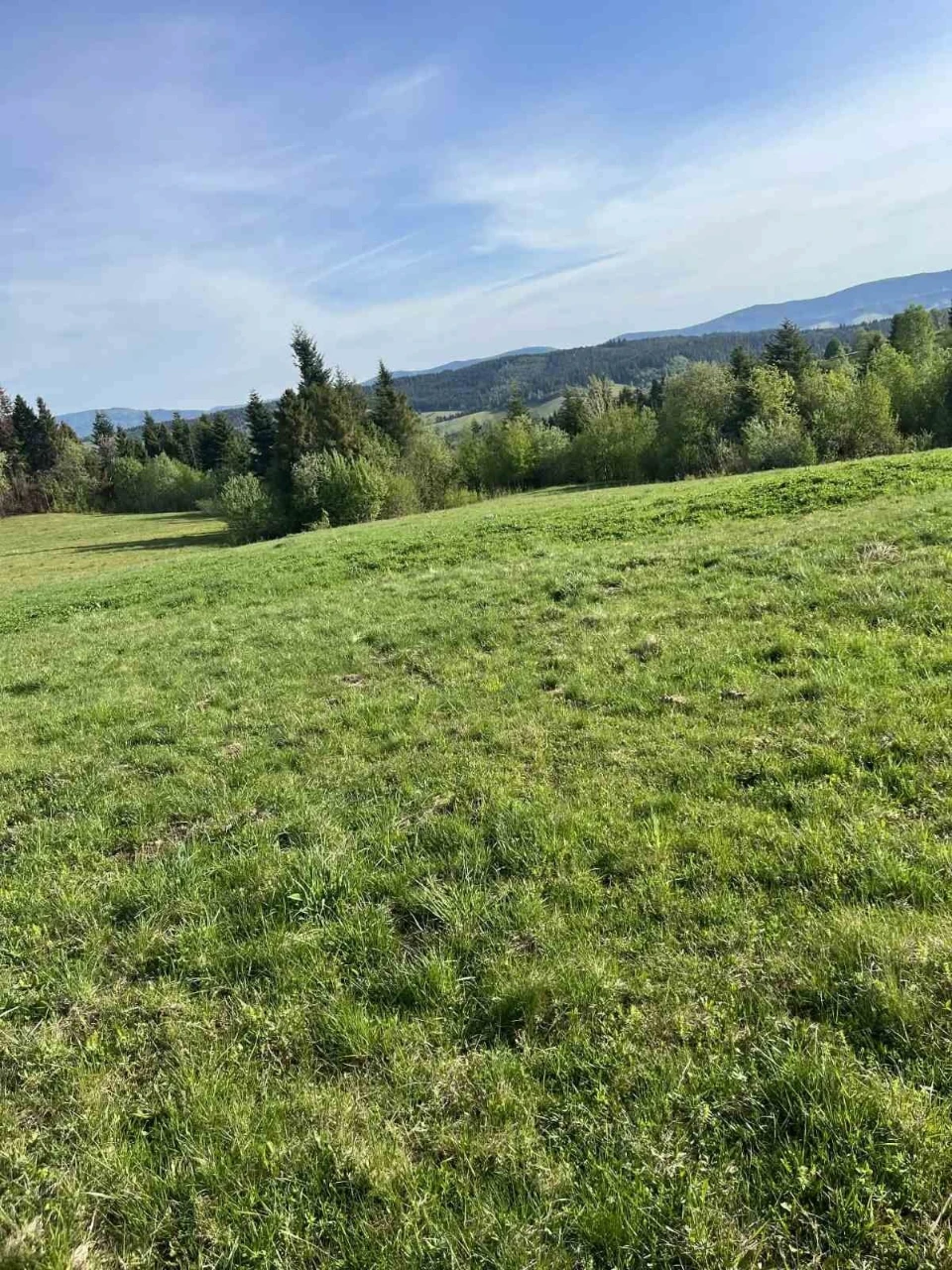 Земельна ділянка. село Шандровець.