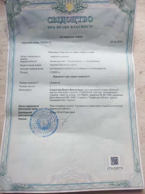 Земельна ділянка. село Шандровець.