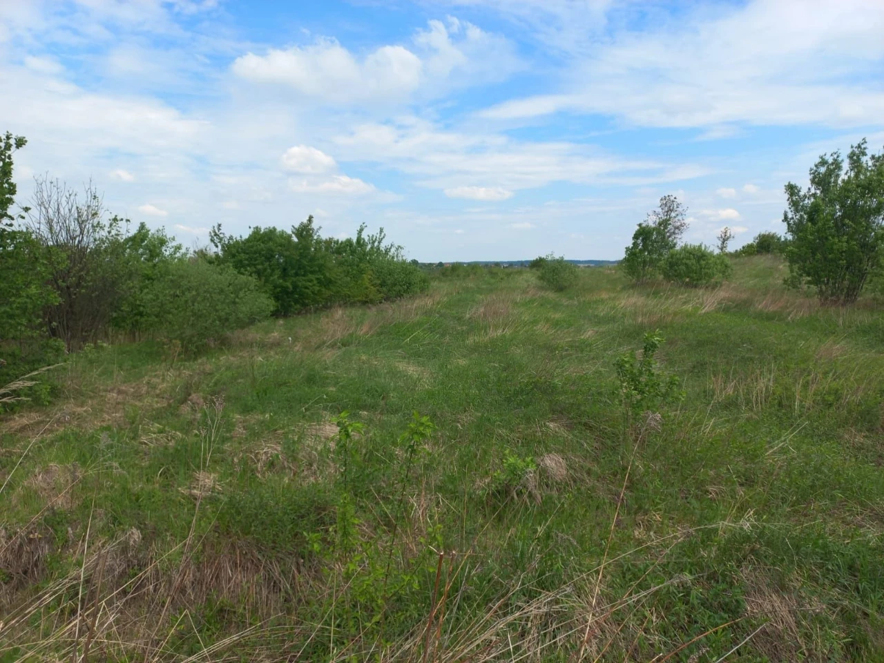 Продам ділянку 0.06 га в Дрогобичі, Наливайка.