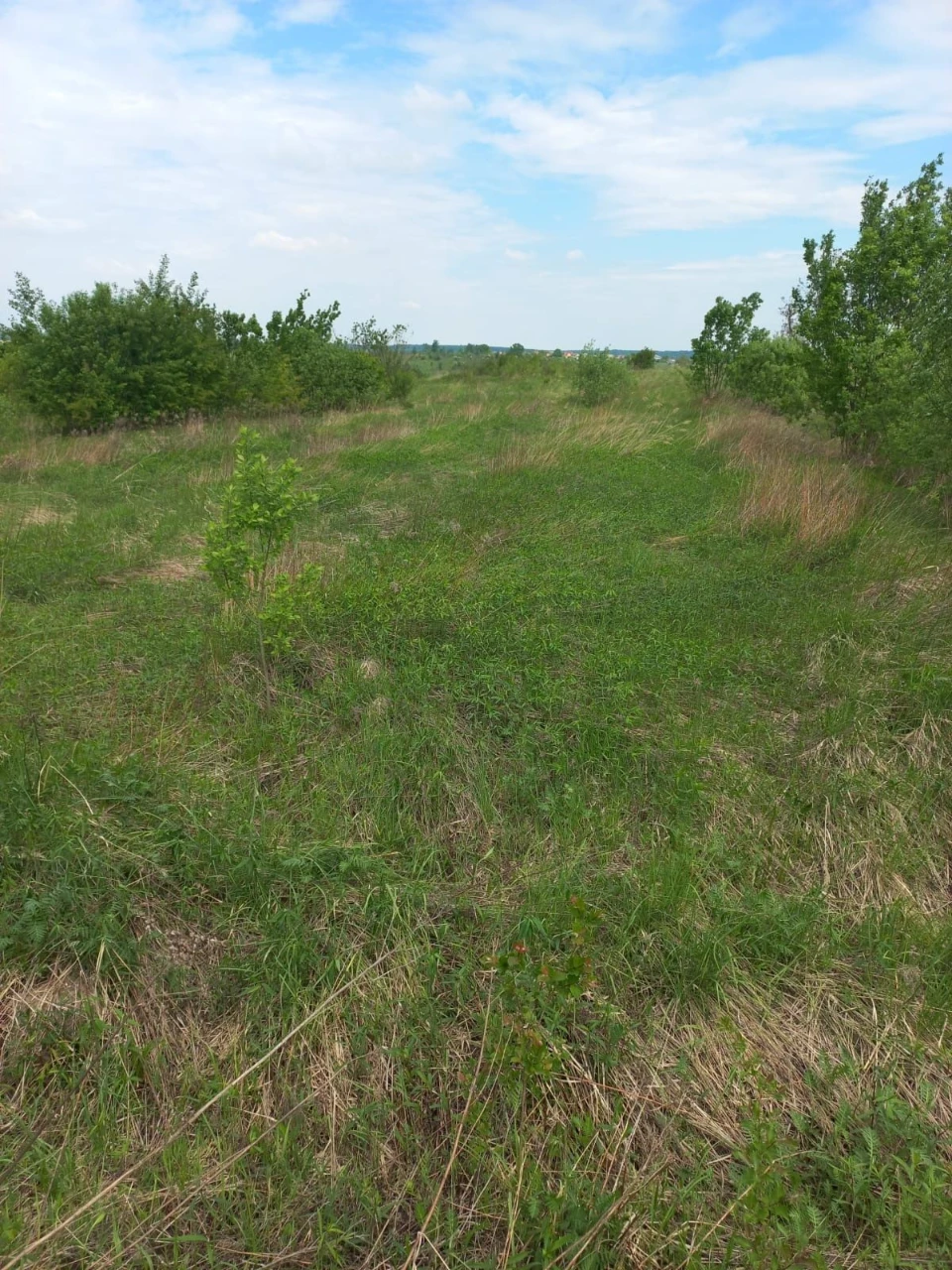 Продам ділянку 0.06 га в Дрогобичі, Наливайка.