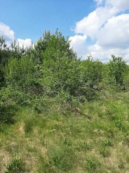 Продаж ексклюзивної земельної ділянки поруч із Сонячними озе