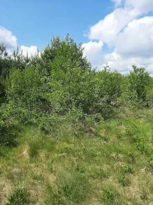 Продаж ексклюзивної земельної ділянки поруч із Сонячними озе