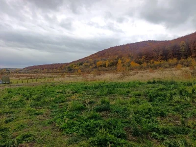 Ділянка біля Жовкви