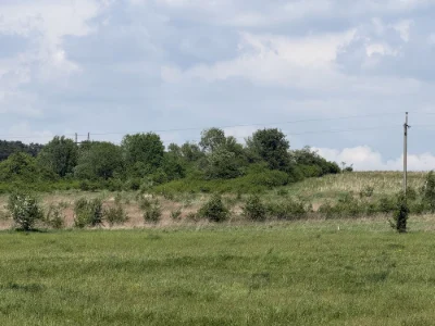 Продам Милошевичі  Пустомити 40 сотих