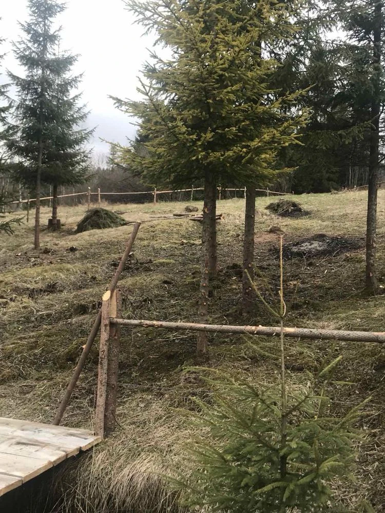 Продаж земельноі ділянки