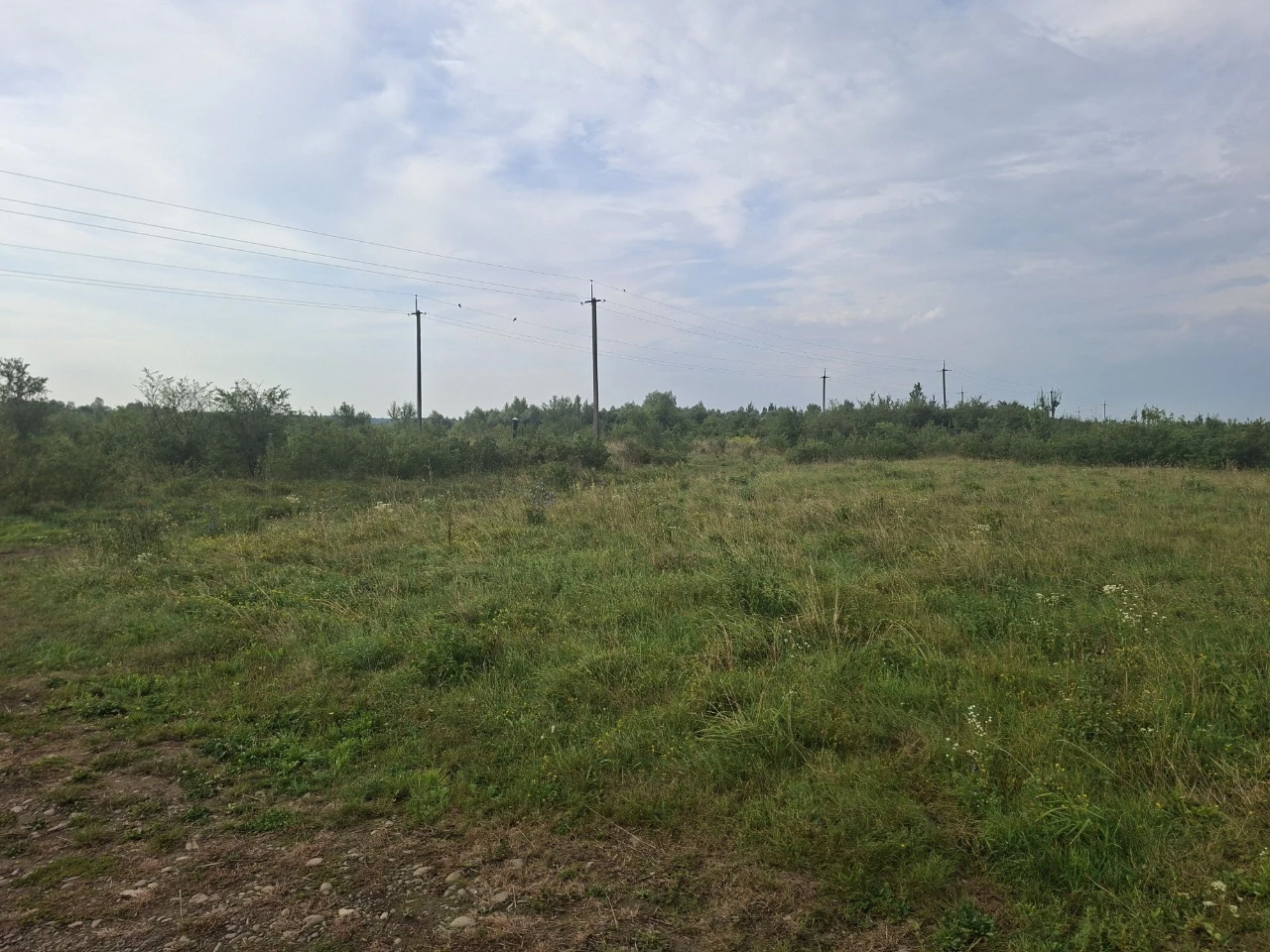 Продам земельну ділянку с. Добряни