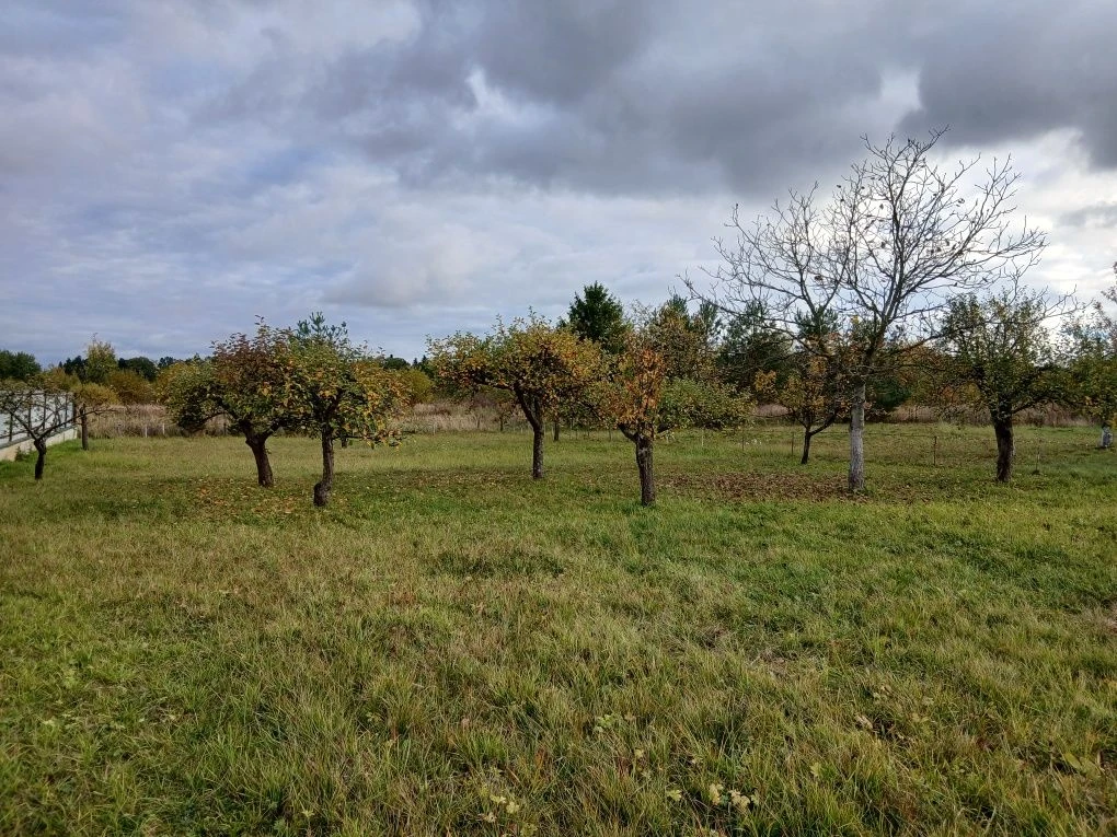 Земельна ділянка