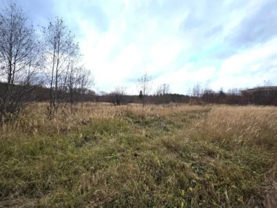Ділянка під забудову в Трускавці в гарному з багатою зеленню