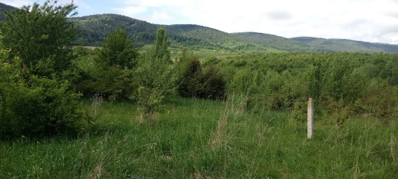 ОБМІН ділянок в Карпатах на землю біля моря (Одеська обл.) /