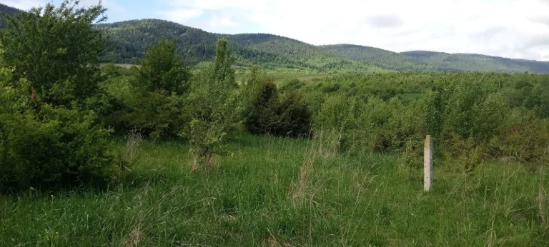 ОБМІН ділянок в Карпатах на землю біля моря (Одеська обл.) /