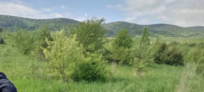 ОБМІН ділянок в Карпатах на землю біля моря (Одеська обл.) /