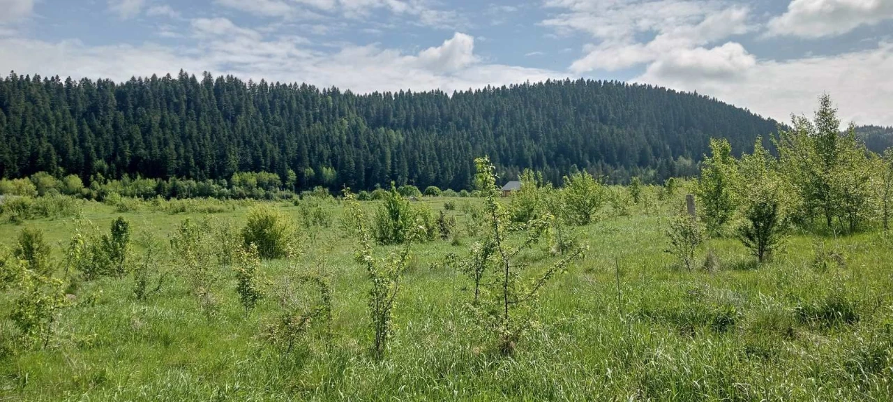 ОБМІН ділянок в Карпатах на землю біля моря (Одеська обл.) /