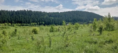 ОБМІН ділянок в Карпатах на землю біля моря (Одеська обл.) /