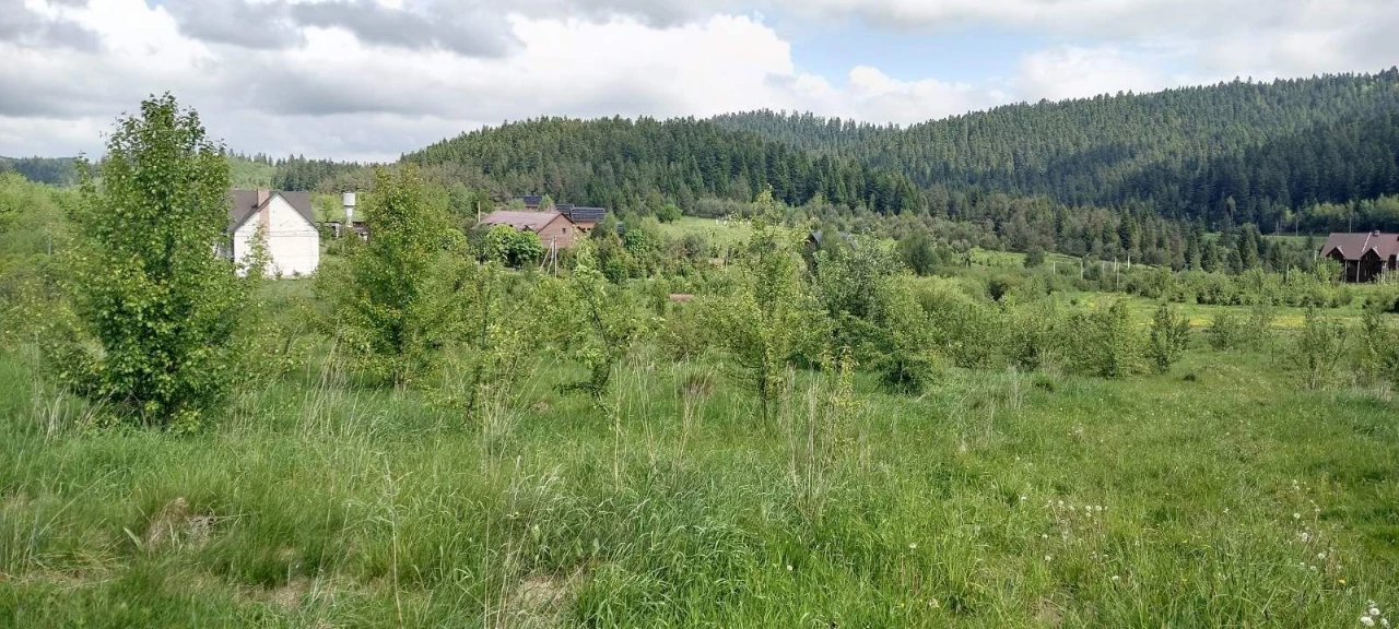 ОБМІН ділянок в Карпатах на землю біля моря (Одеська обл.) /