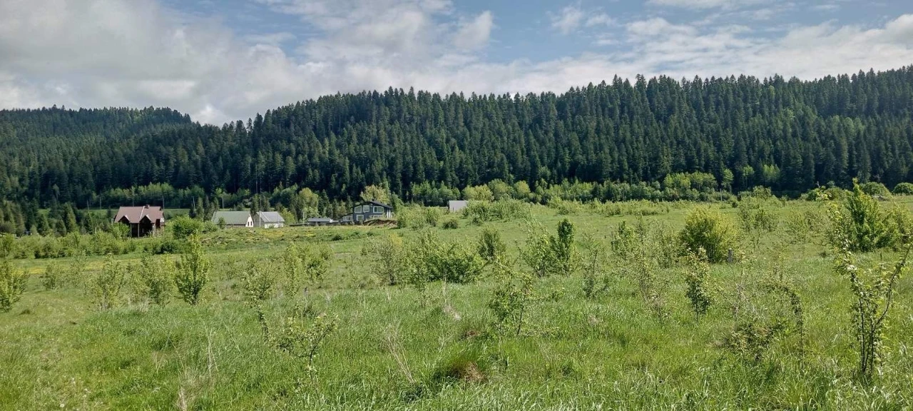 ОБМІН ділянок в Карпатах на землю біля моря (Одеська обл.) /