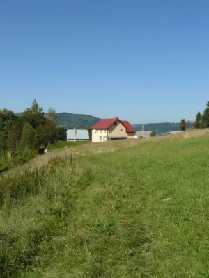 Земельна ділянка в Карпатах,обмін на електромобіль!