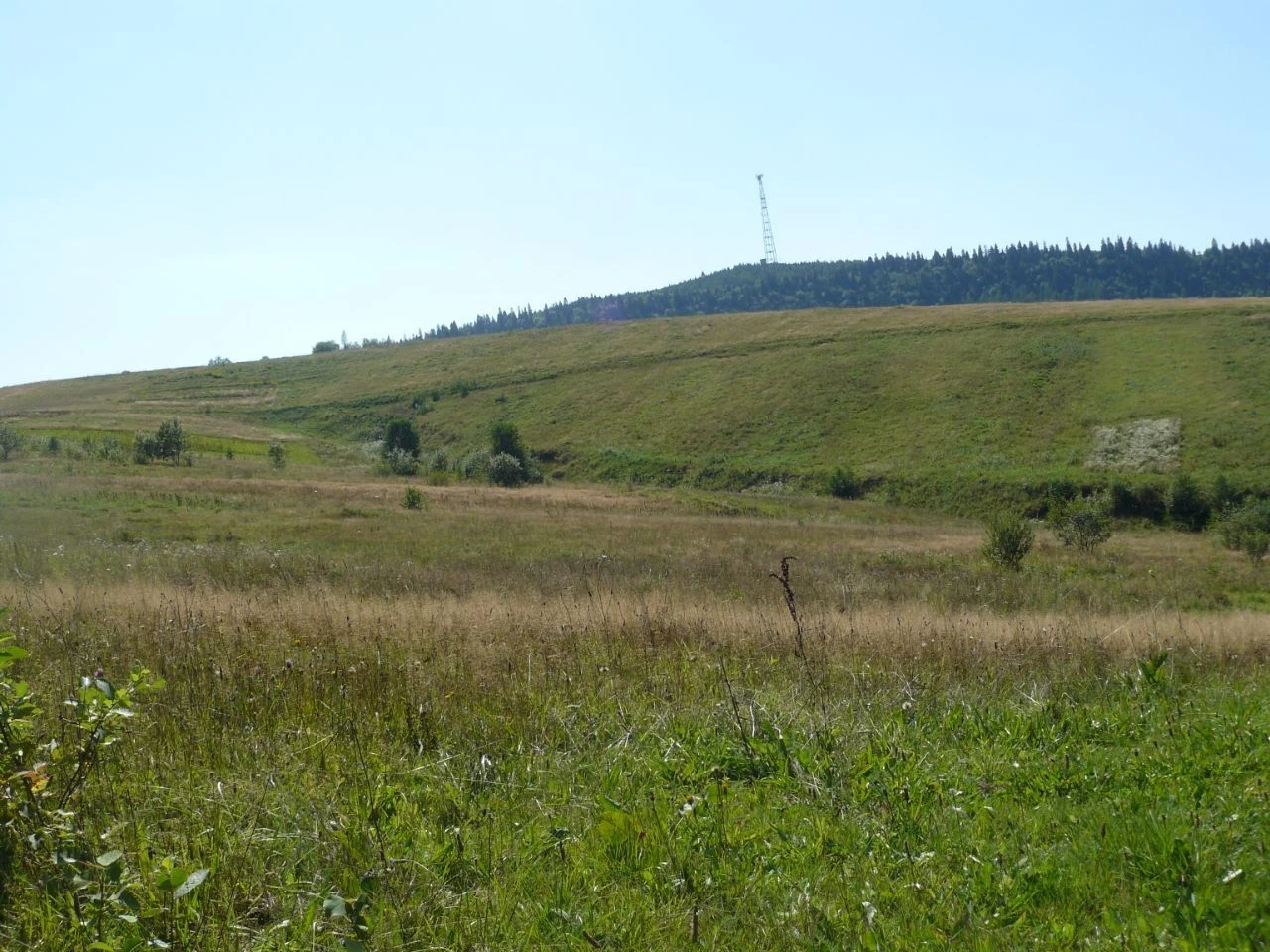 Земельна ділянка в Карпатах,обмін на електромобіль!