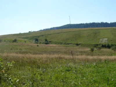 Земельна ділянка в Карпатах,обмін на електромобіль!