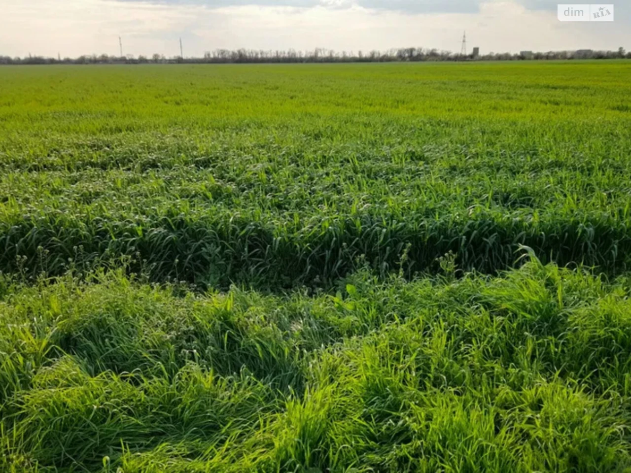 Продаж Земля сільськогосподарського призначення