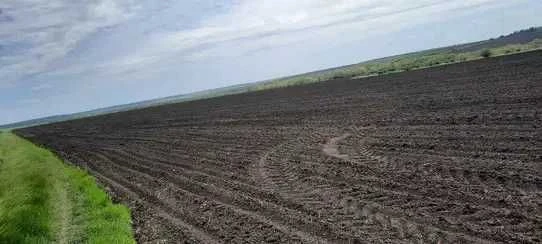 Продається земельна ділянка загальною площею 16,3 га.