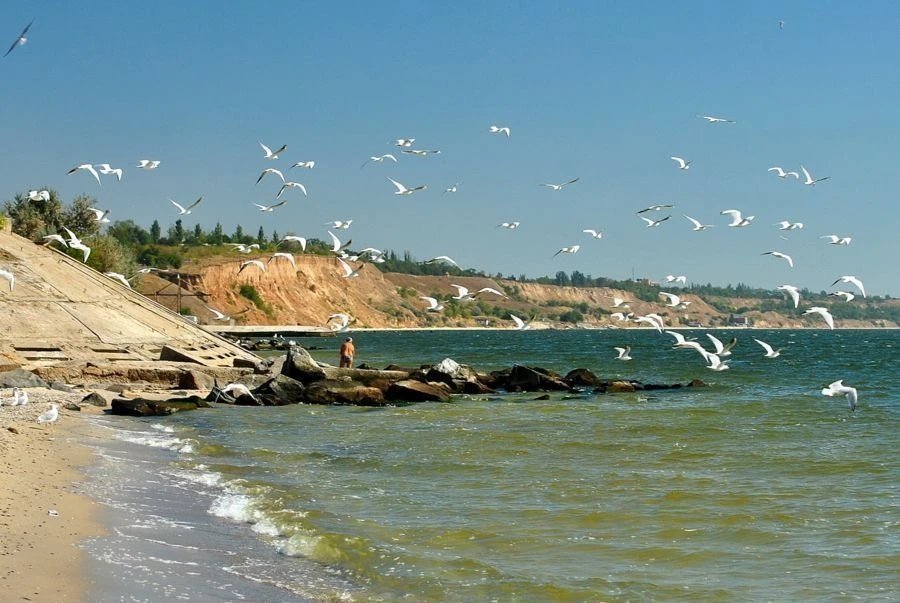 Участок у моря 15 соток -Очаков- Черноморская коса , возле а